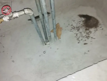 东丽卫生间测漏水价格明细